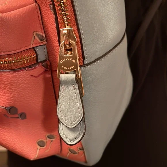 Coach sunglasses backpack - Picture 2 of 16